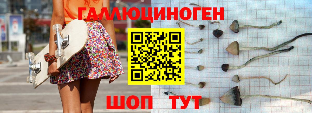 Псилоцибиновые грибы ЛСД Новый Уренгой